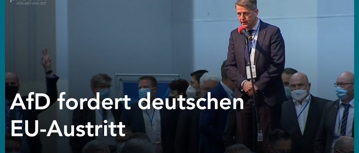 AfD-Parteitag: Die Debatte zum EU-Austritt Deutschlands