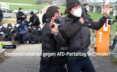 Demonstrationen gegen AfD-Parteitag in Dresden