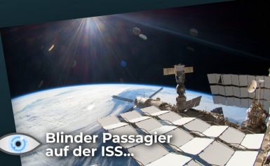 Kuriose Entdeckung auf der ISS: Schon bald Gewächshäuser auf dem Mars?