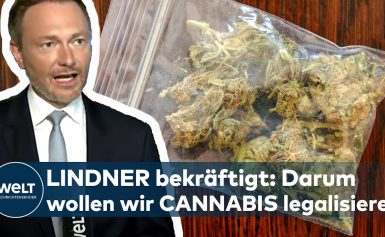 FDP-PARTEITAG: „Wir wollen Cannabis legalisieren – aber nicht alle Drogen!“ – Christian Lindner