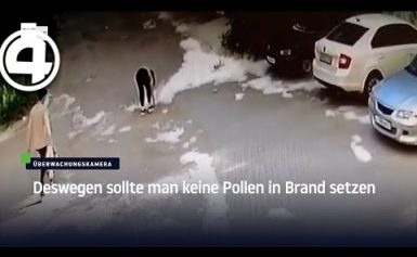 Deswegen sollte man keine Pollen anzünden