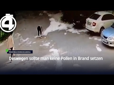Deswegen sollte man keine Pollen anzünden