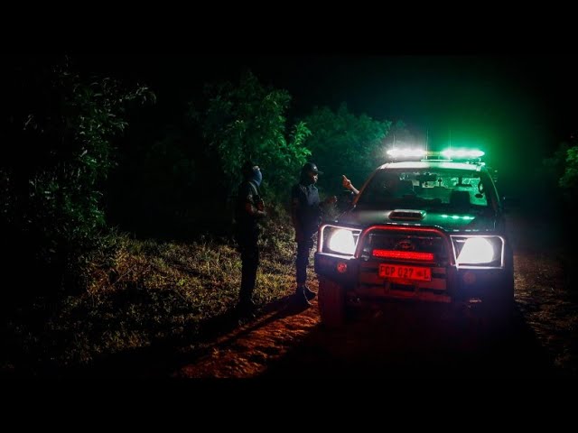 Kampf den Avocado-Dieben in Südafrika