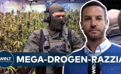 Mega-CANNABIS-Plantage in Essen ausgehoben: Weltweite RAZZIA gegen DROGENSZENE