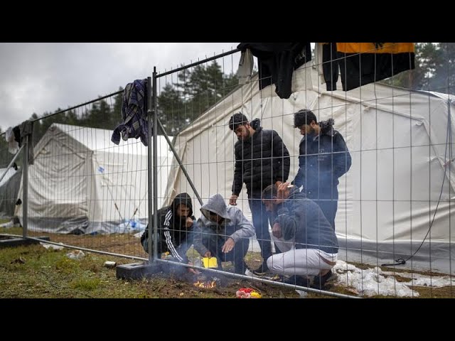 Migrantenkrise in Litauen: „Wir benutzen Belarus, müsste man sagen“
