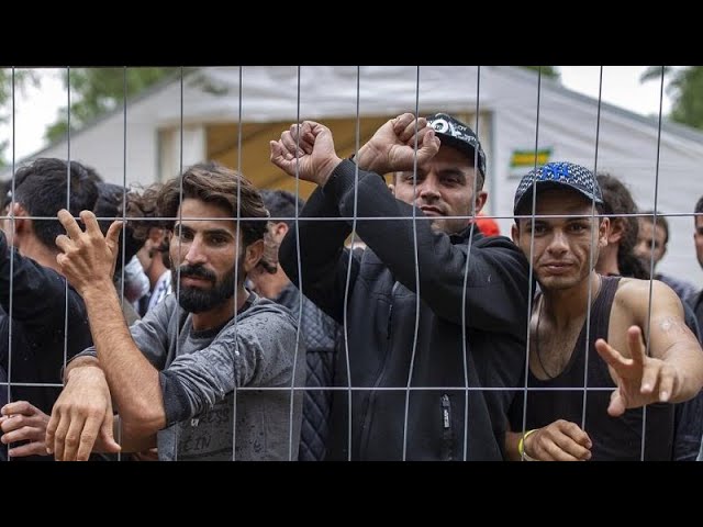Streit um Migranten in Litauen: „Niemand hier will zurück nach Belarus“