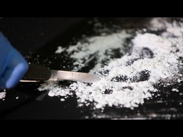 Anti-Drogen-Aktion in Peru: Polizei beschlagnahmt fast fünf Tonnen Rauschgift