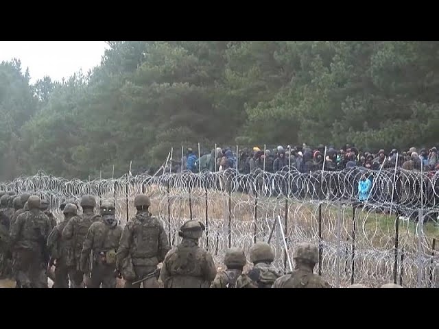 Tausende Migranten an EU-Grenze zwischen Belarus und Polen