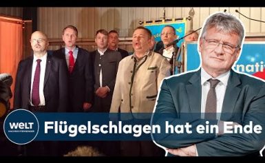 BITTERER ABGANG: AfD-Chef Meuthen wirft hin und verlässt Partei | WELT Thema