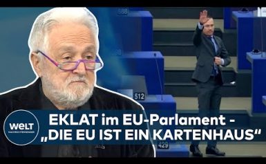 HENRYK M. BRODER zu Hitlergruß im EU-Parlament: „Die EU ist ein KARTENHAUS“ | WELT INTERVIEW