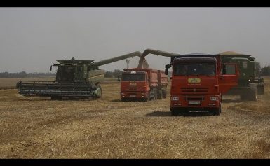 Verhängnisvolle Auswirkungen des Krieges: Es droht Hunger