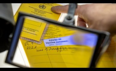 Österreich setzt Impfpflicht wieder aus