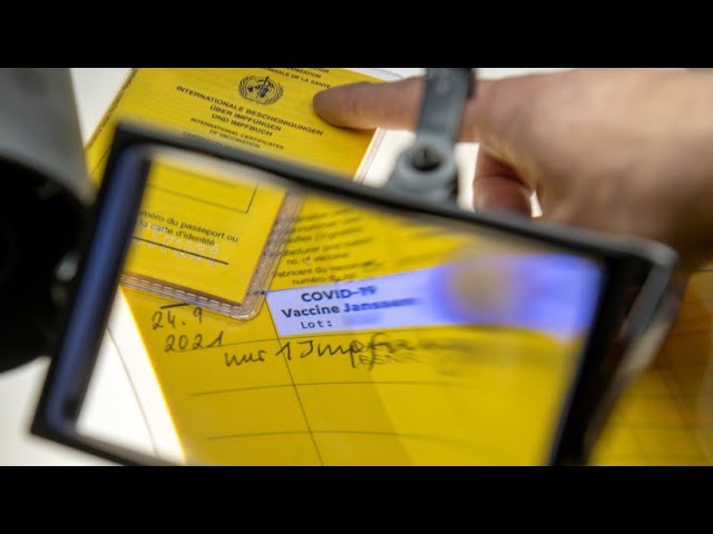 Österreich setzt Impfpflicht wieder aus