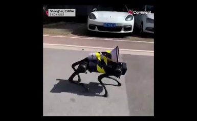 Strikter Lockdown, ungewöhnliche Methoden: Roboter-„Hund“ kläfft Covid-Regeln in Shangai