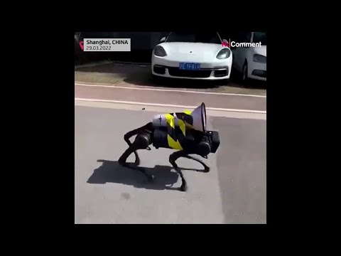 Strikter Lockdown, ungewöhnliche Methoden: Roboter-„Hund“ kläfft Covid-Regeln in Shangai