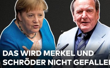 WOLFGANG KUBICKI: FDP-Politiker stellt Bundestags-Büros von Merkel und Schröder infrage