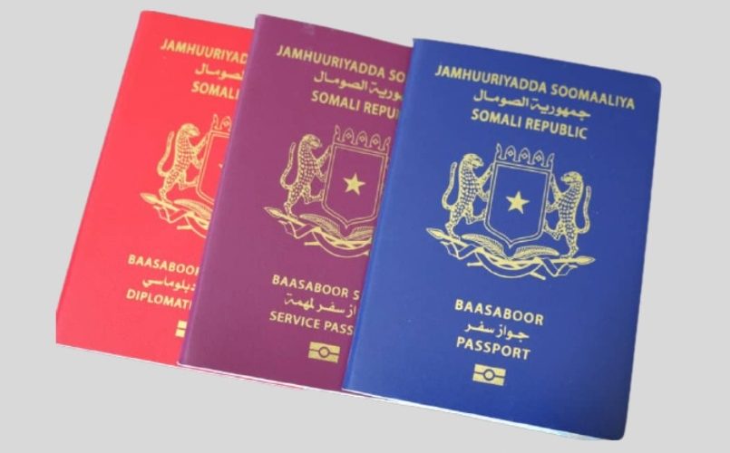Einbürgerung auch ohne amtliche Ausweisdokumente möglich