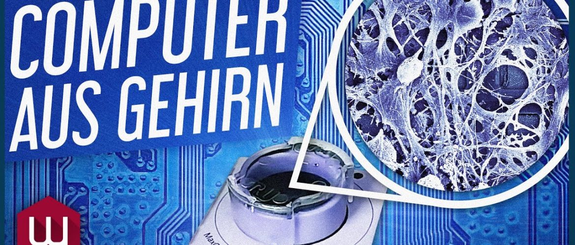 Erster Computer aus Gehirnzellen schlägt schon jetzt klassische KI