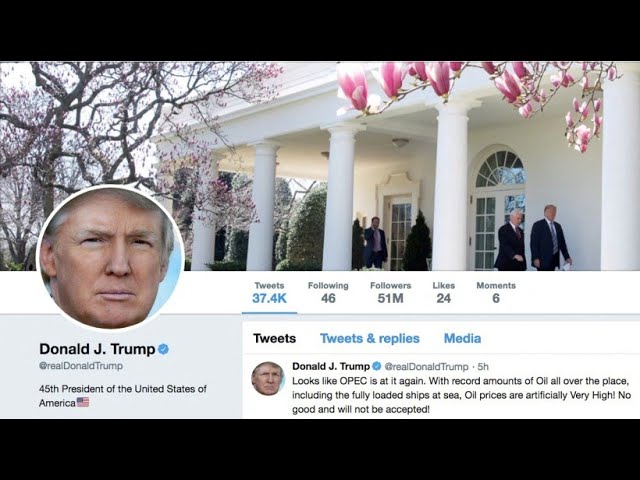 Musk will Sperre aufheben: Trump bald wieder auf Twitter?