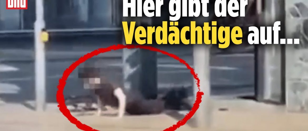 Schüsse an Schule in Bremerhaven: Tatverdächtiger festgenommen