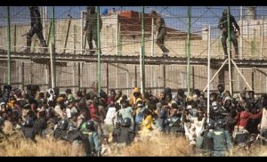 400 Afrikaner reißen Grenzzaun ein