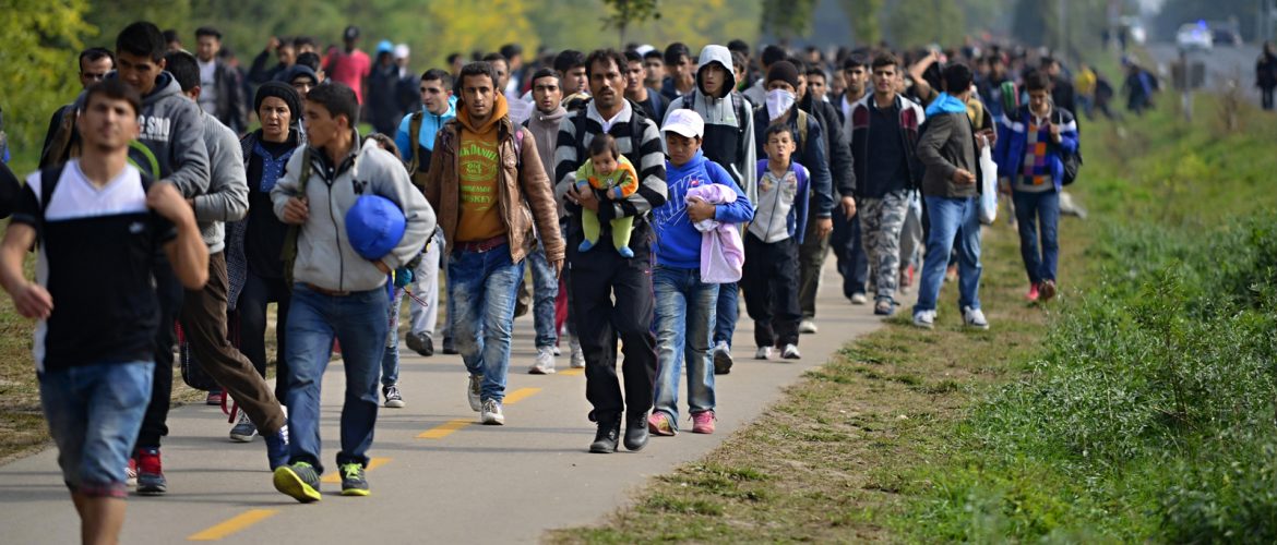 Irrenhaus Deutschland: Abgelehnte Bewerber beantragen immer wieder neu Asyl