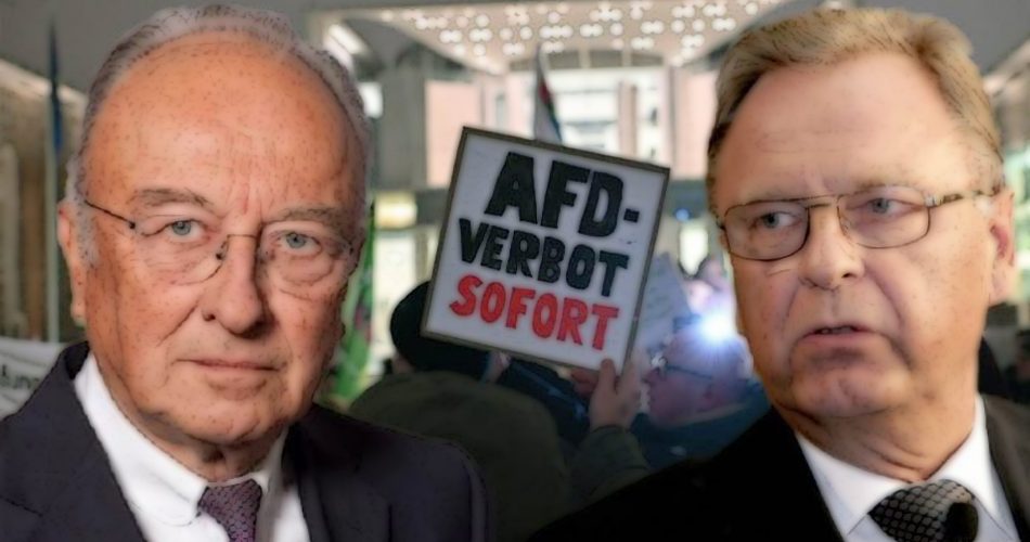 Staatsrechtler warnen vor AfD-Verbotsverfahren