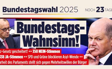 Die Altparteien sind der Untergang Deutschlands