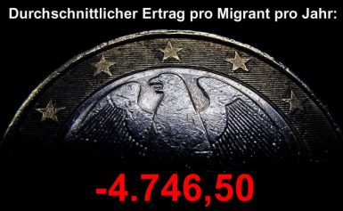 Löst Migration tatsächlich die Probleme des Fachkräftemangels und des demografischen Wandels?