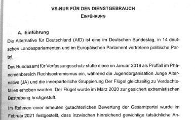 AfD-„Geheimgutachten“ vollständig veröffentlicht