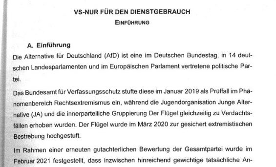AfD-„Geheimgutachten“ vollständig veröffentlicht