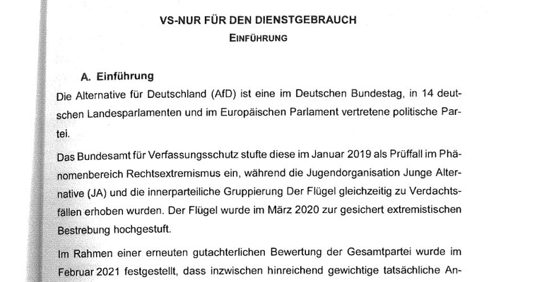 AfD-„Geheimgutachten“ vollständig veröffentlicht