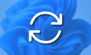 Was tun, wenn Windows 11 keine Updates mehr lädt?