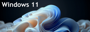 Ultimative Installationsanleitung für Windows 11