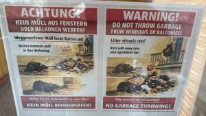 Berlin verliert den Kampf gegen die Rattenplage