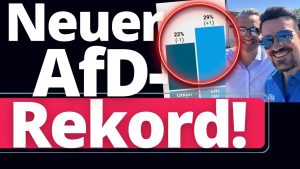 29 Prozent: Rekord-Umfragewert für die AfD