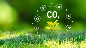 Die CO2-Lüge