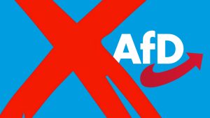 Kommt 2026 das AfD-Verbotsverfahren?
